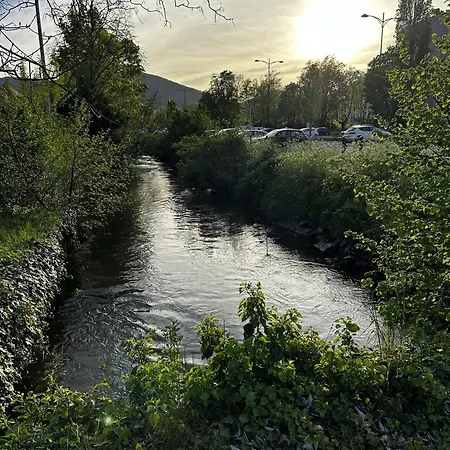 Apartamento Speyerbach - Modernes Nahe Neustadter Innenstadt