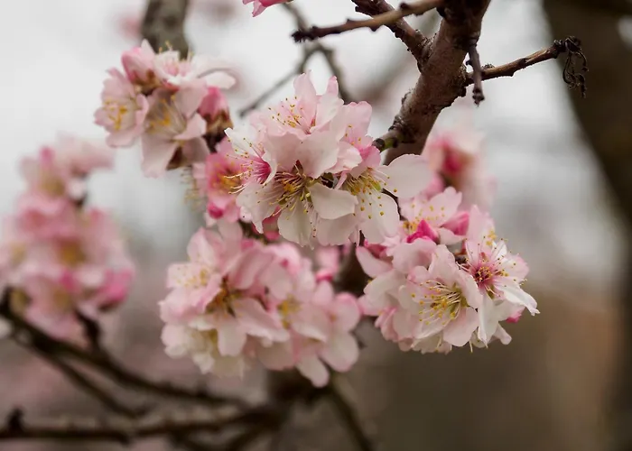 Speyerbach - Modernes Nahe Neustadter Innenstadt Appartamento Neustadt an der Weinstraße