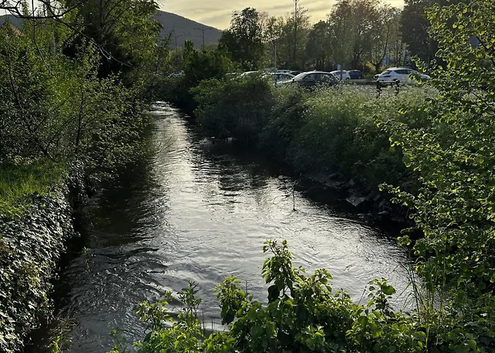 Apartamento Speyerbach - Modernes Nahe Neustadter Innenstadt